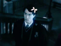 Tom riddle