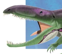 Ophiacodon