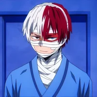 Shoto Todoroki