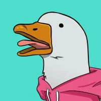 PJONK