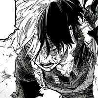 Shoto Todoroki