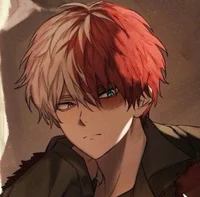 Shoto Todoroki