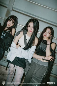 02 liner