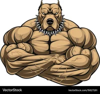 Sammy king dogs evil