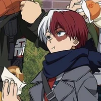 Shoto Todoroki