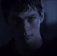 Void Stiles