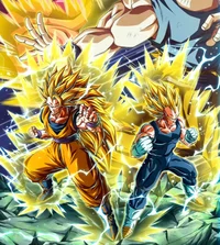 Goku And Vegeta