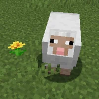 Minecraft Sheep