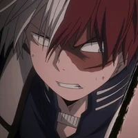 Shoto Todoroki