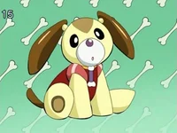 Poochi