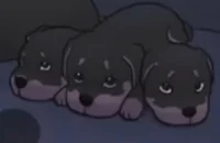 Cerberus