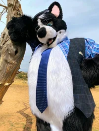 Wuskythehusky