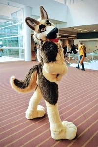Duke Fursuit 