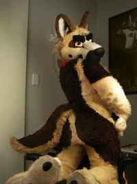 Duke fursuit
