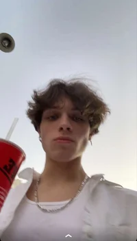 matt sturniolo