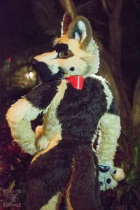 Duke fursuit