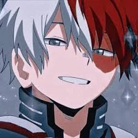 Shoto Todoroki