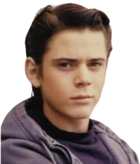 Ponyboy Curtis