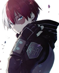 Shoto todoroki 