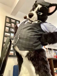 Wuskythehusky
