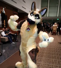 Duke fursuit
