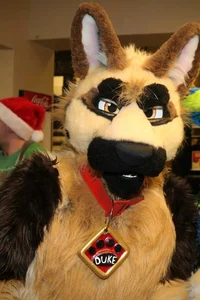 Duke Fursuit 