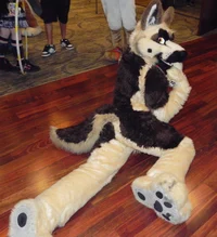 Duke fursuit