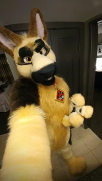 Duke Fursuit 