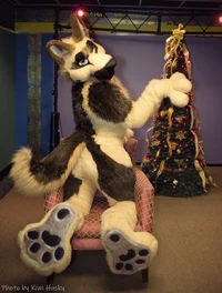 Duke Fursuit 