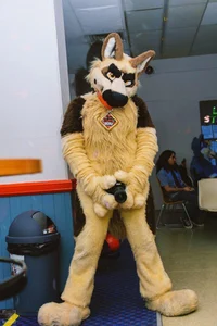 Duke fursuit