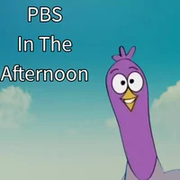 PBS In The Afternoon
