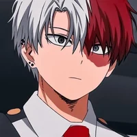 Shoto Todoroki