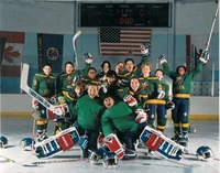THE MIGHTY DUCKS