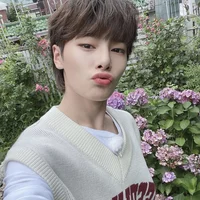 Jeongin Hybrid