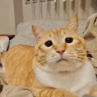 000 - bltzkrgtoaster