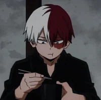 Shoto Todoroki