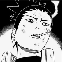 Shikamaru Nara