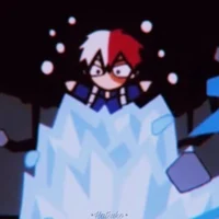 Shoto todoroki 
