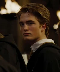 Cedric Diggory 