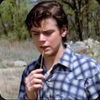 Ponyboy Curtis