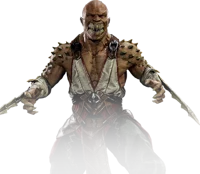 Baraka