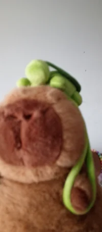 That one capybara