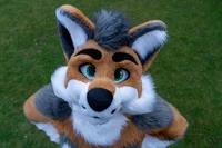 Cormack wolf Fursuit