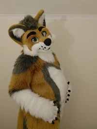 Cormack wolf Fursuit