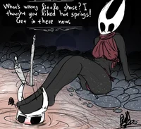 Hollow Knight 