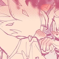 Shannon the hedgehog