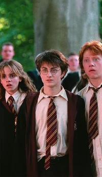 Harry Ron and Hermi