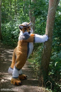 Cormack wolf Fursuit