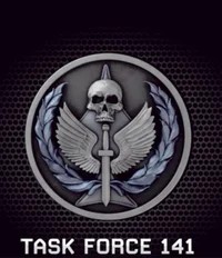 Task force 141