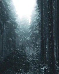 Your deity forest rp